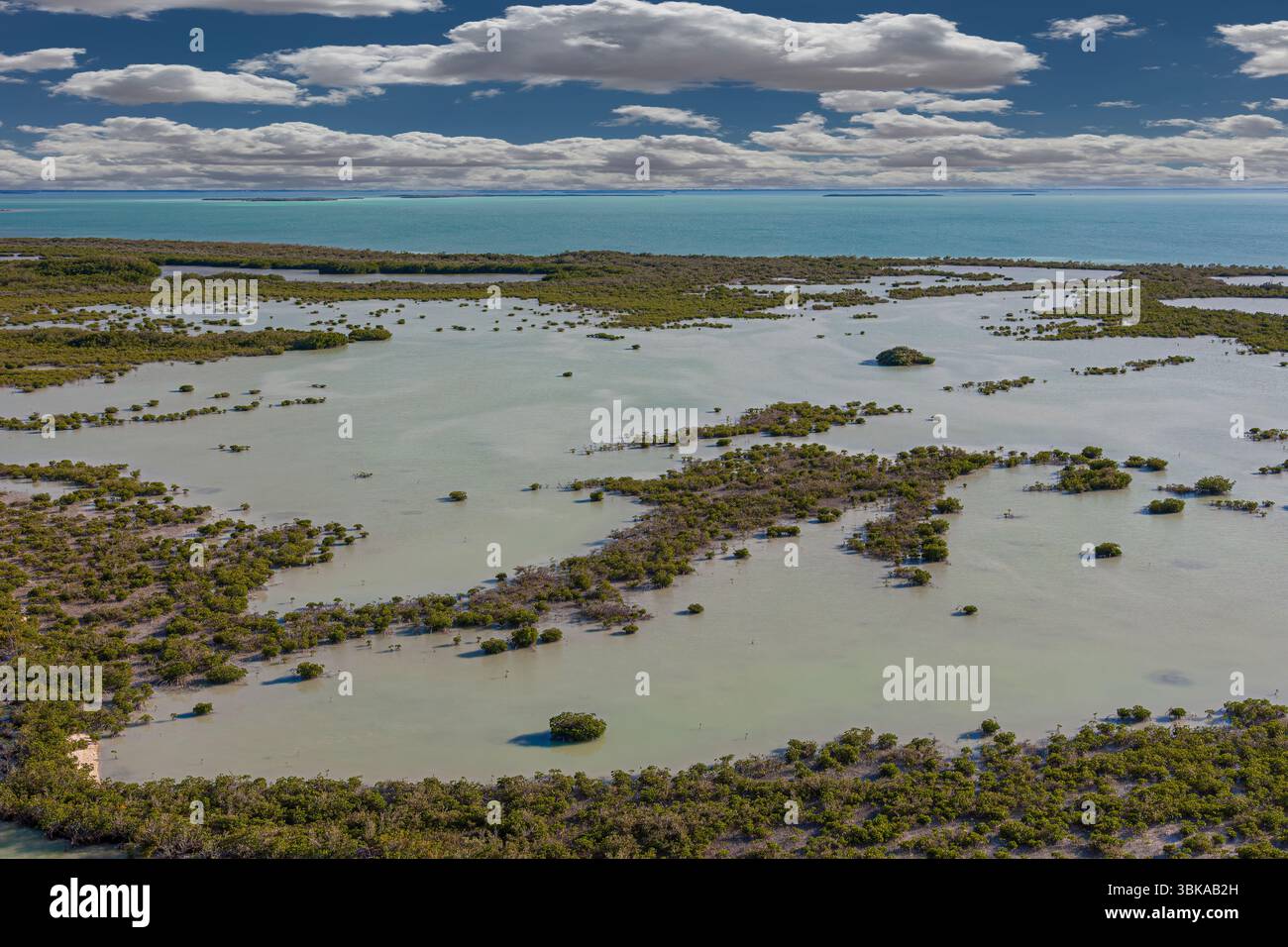 Il Parco Nazionale delle Everglades protegge la più grande natura selvaggia subtropicale degli Stati Uniti, che comprende oltre 1,5 milioni di acri Foto Stock
