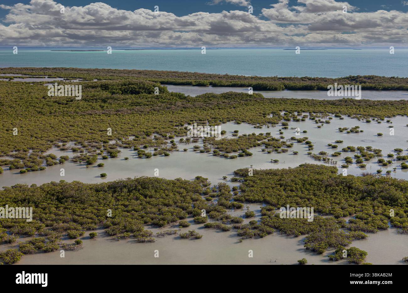 Il Parco Nazionale delle Everglades protegge la più grande natura selvaggia subtropicale degli Stati Uniti, che comprende oltre 1,5 milioni di acri Foto Stock