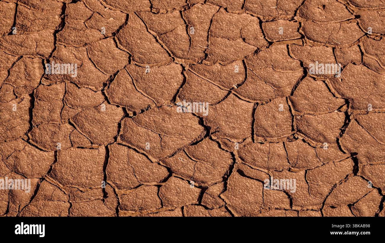 Questa immagine mostra un modello di fango cotto al sole, essiccato e incrinato, formato quando il terreno saturo d'acqua o i sedimenti si asciugano rapidamente sotto la luce solare intensa. Foto Stock