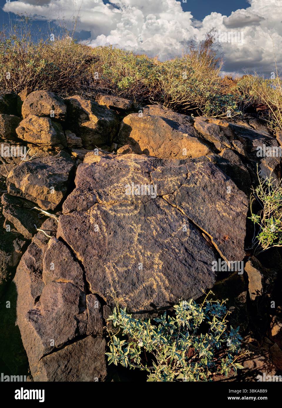 Questi petroglifi, situati nel Tucson Mountain District del Saguaro National Park West, Arizona Foto Stock