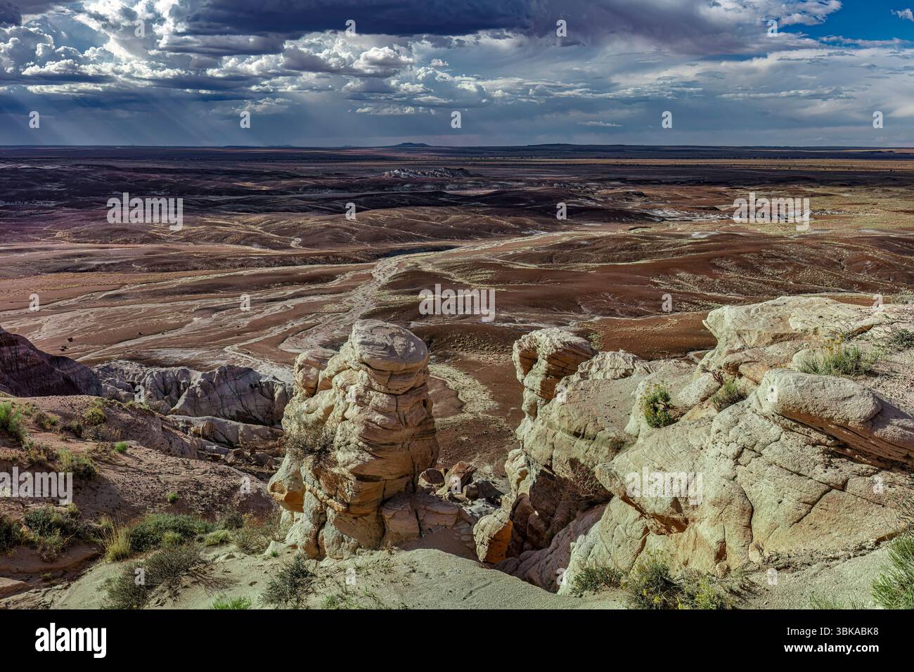 The Painted Desert, Petrified Forest National Park, Arizona Foto Stock
