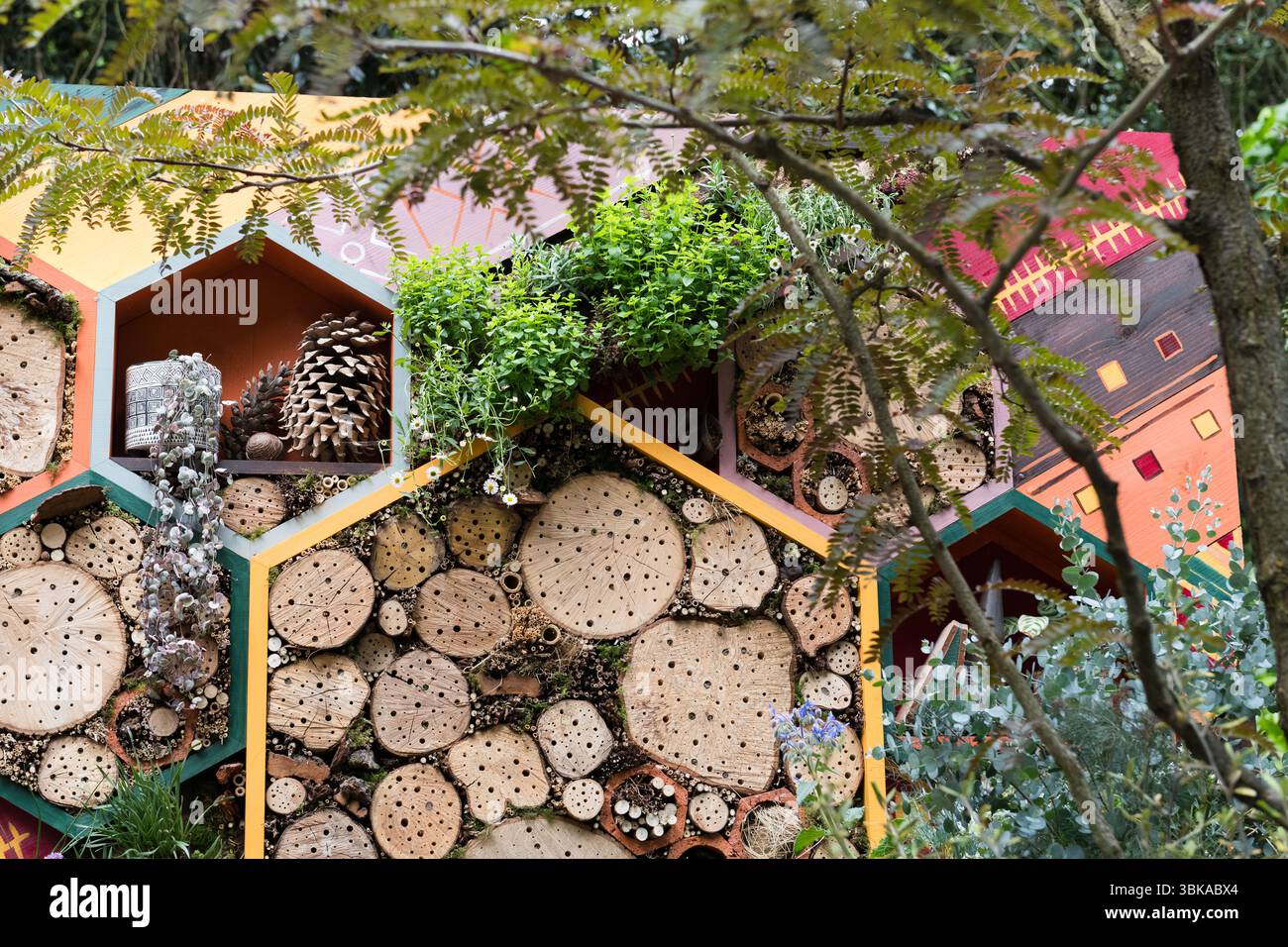 Chelsea Flower Show 2025 Foto Stock