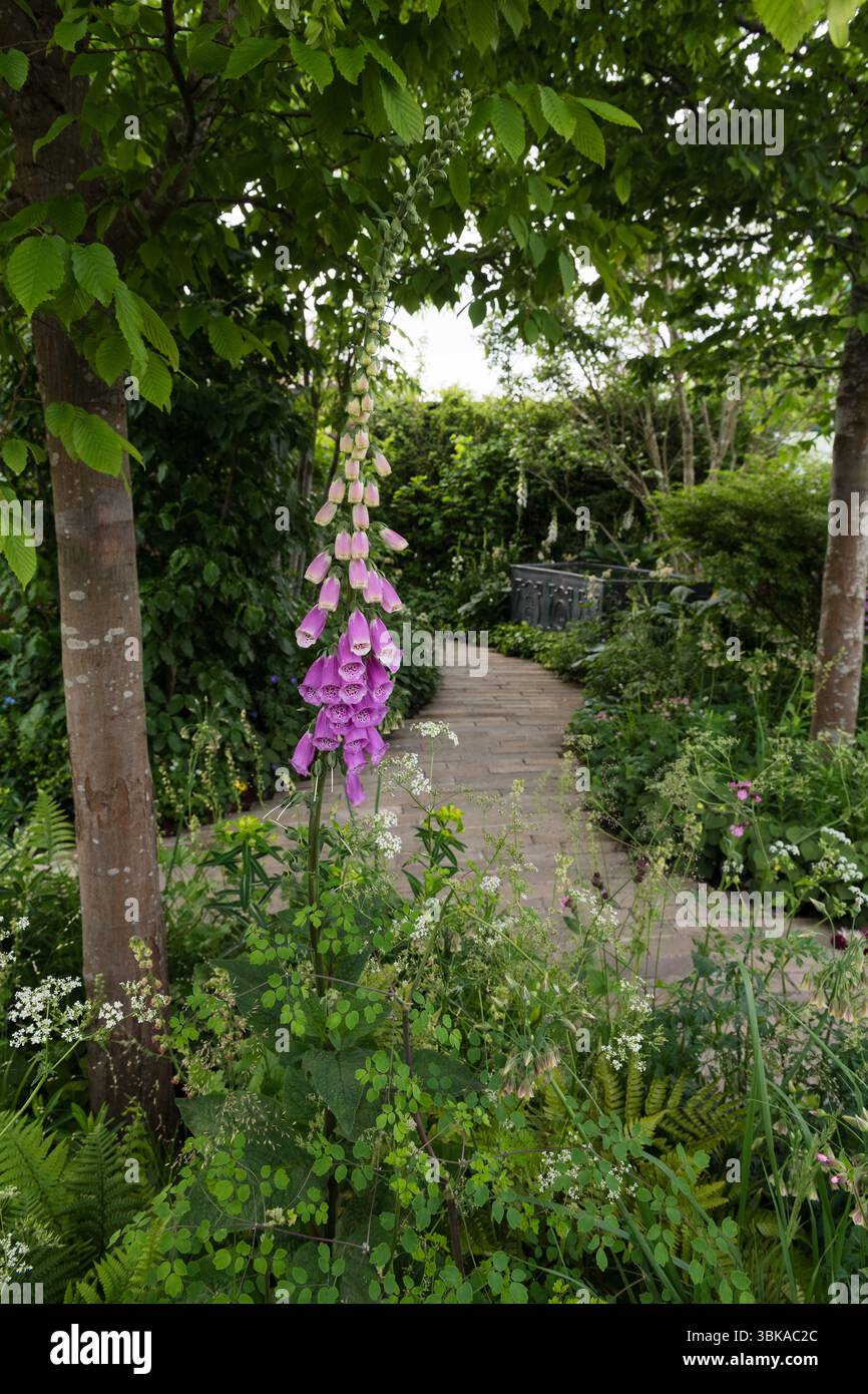 Chelsea Flower Show 2025 Foto Stock