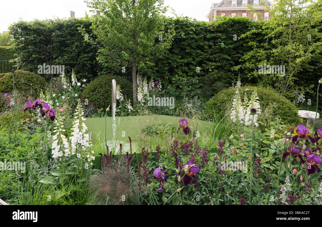Chelsea Flower Show 2025 Foto Stock