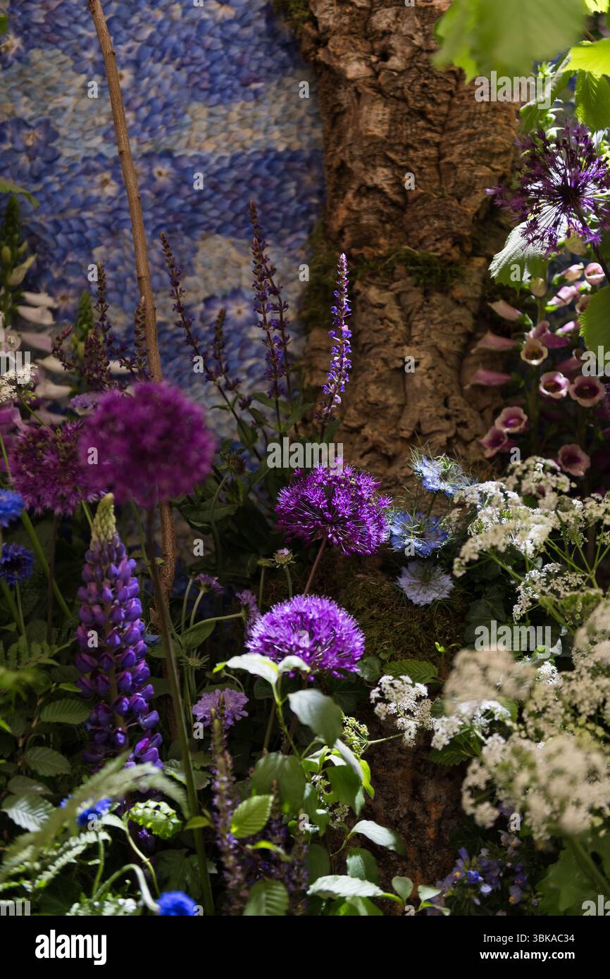 Chelsea Flower Show 2025 Foto Stock