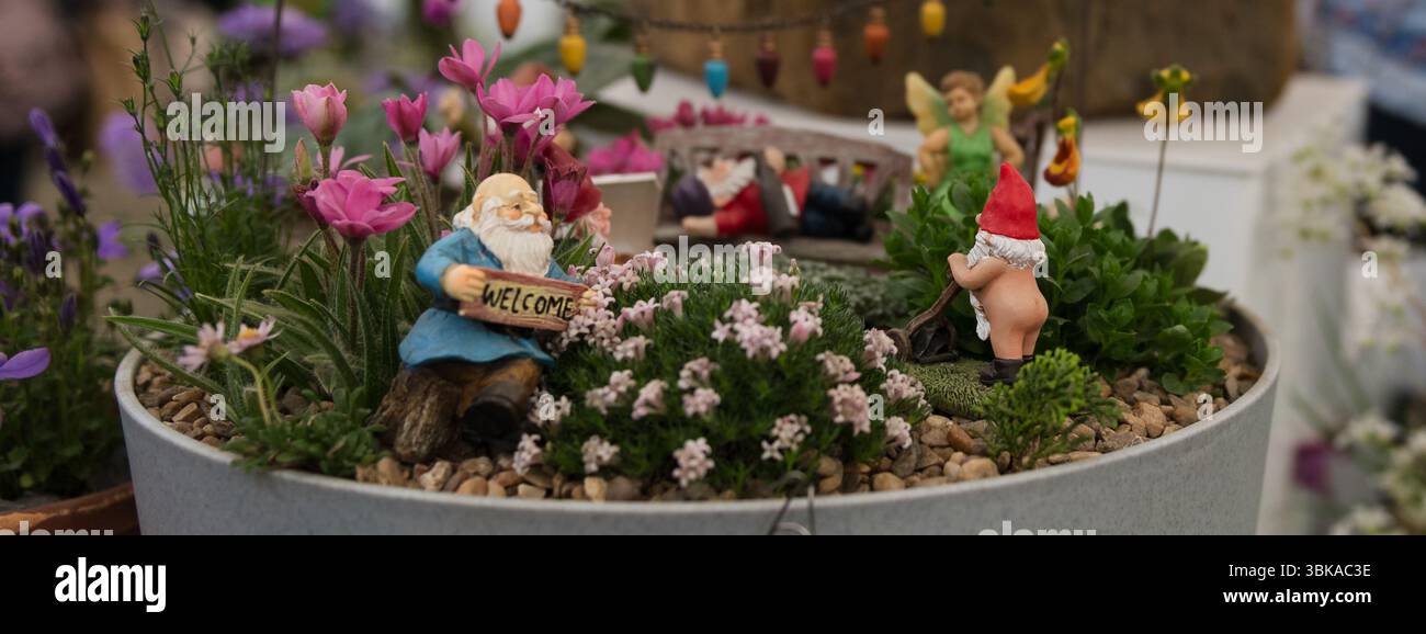 Chelsea Flower Show 2025 Foto Stock