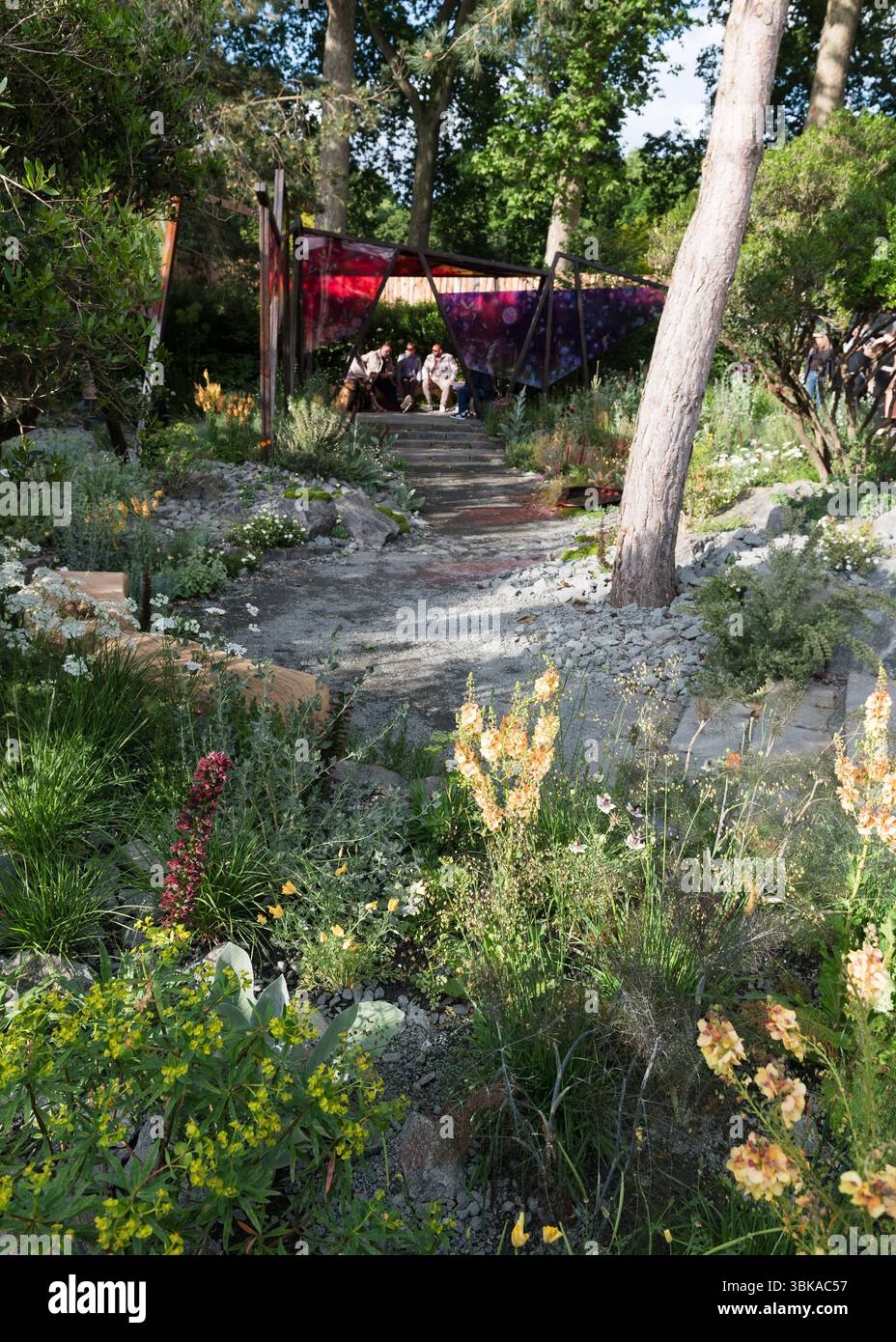 Chelsea Flower Show 2025 Foto Stock