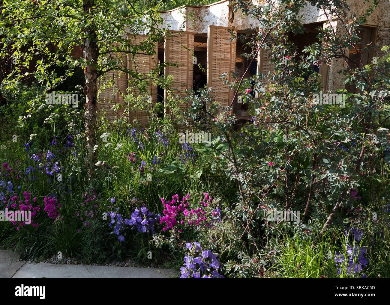 Chelsea Flower Show 2025 Foto Stock