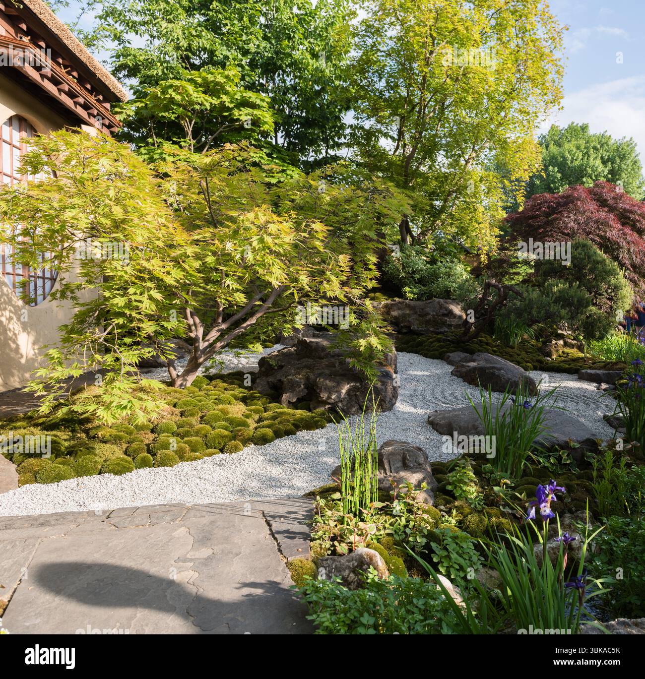 Chelsea Flower Show 2025 Foto Stock