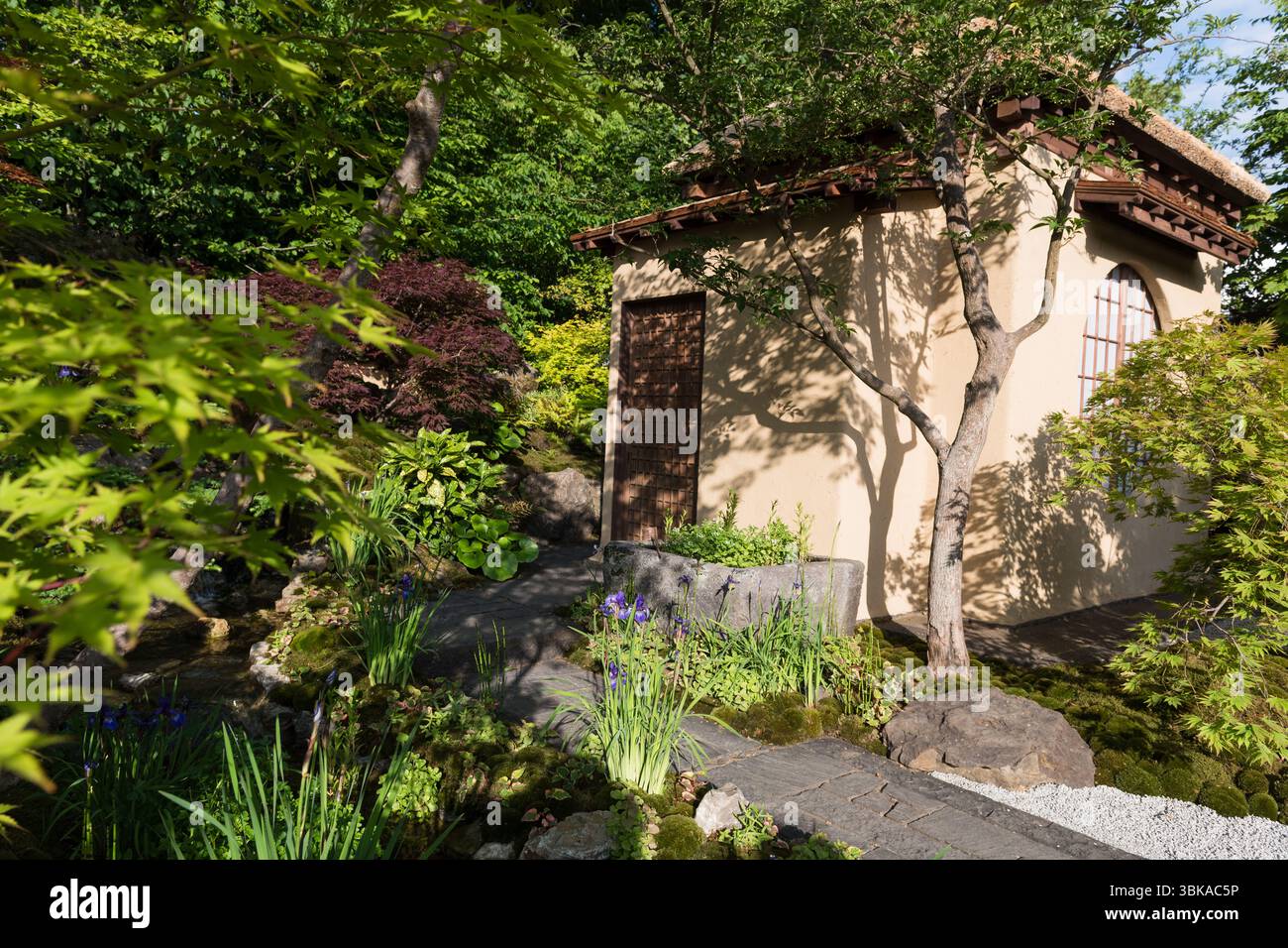 Chelsea Flower Show 2025 Foto Stock