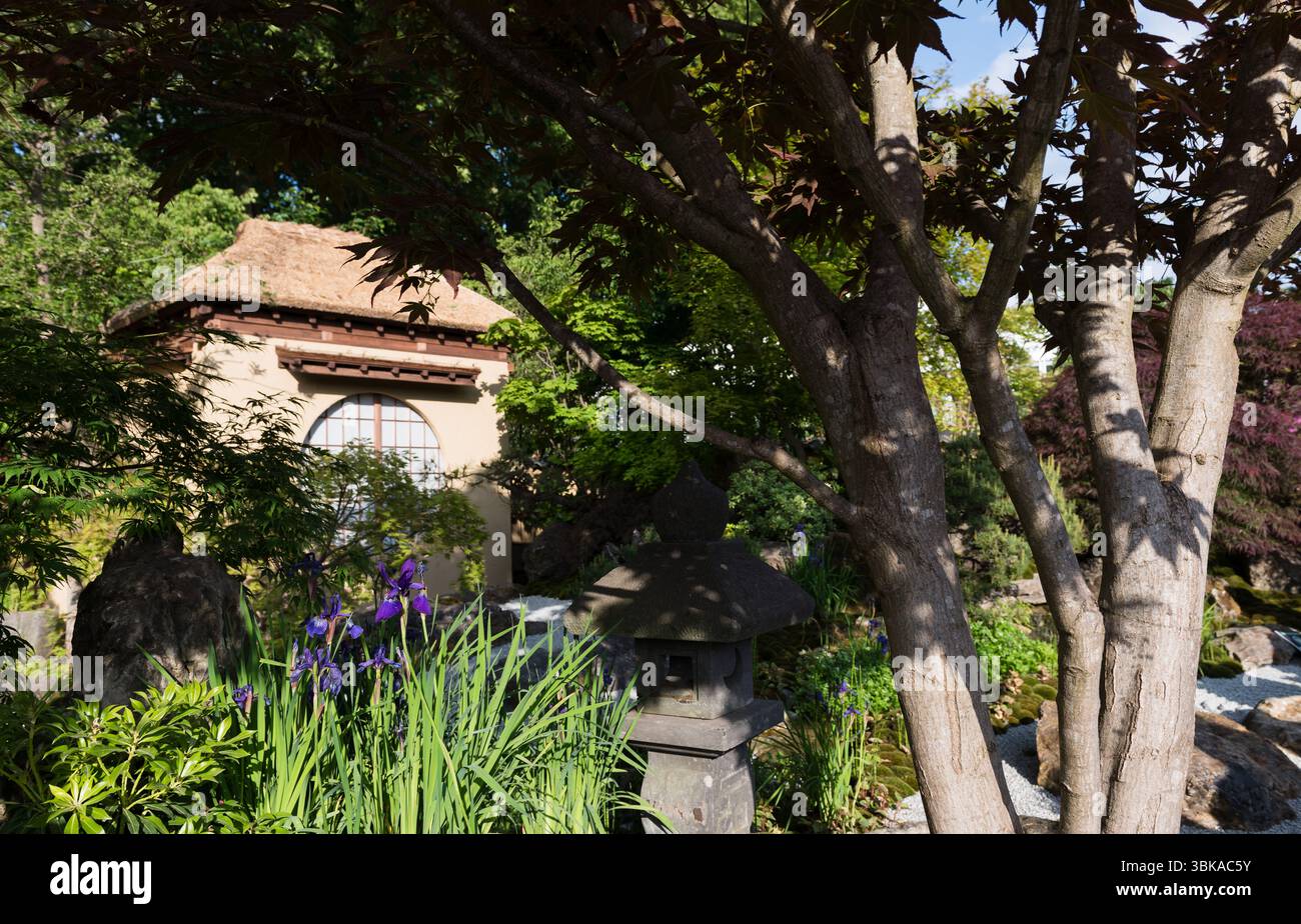 Chelsea Flower Show 2025 Foto Stock