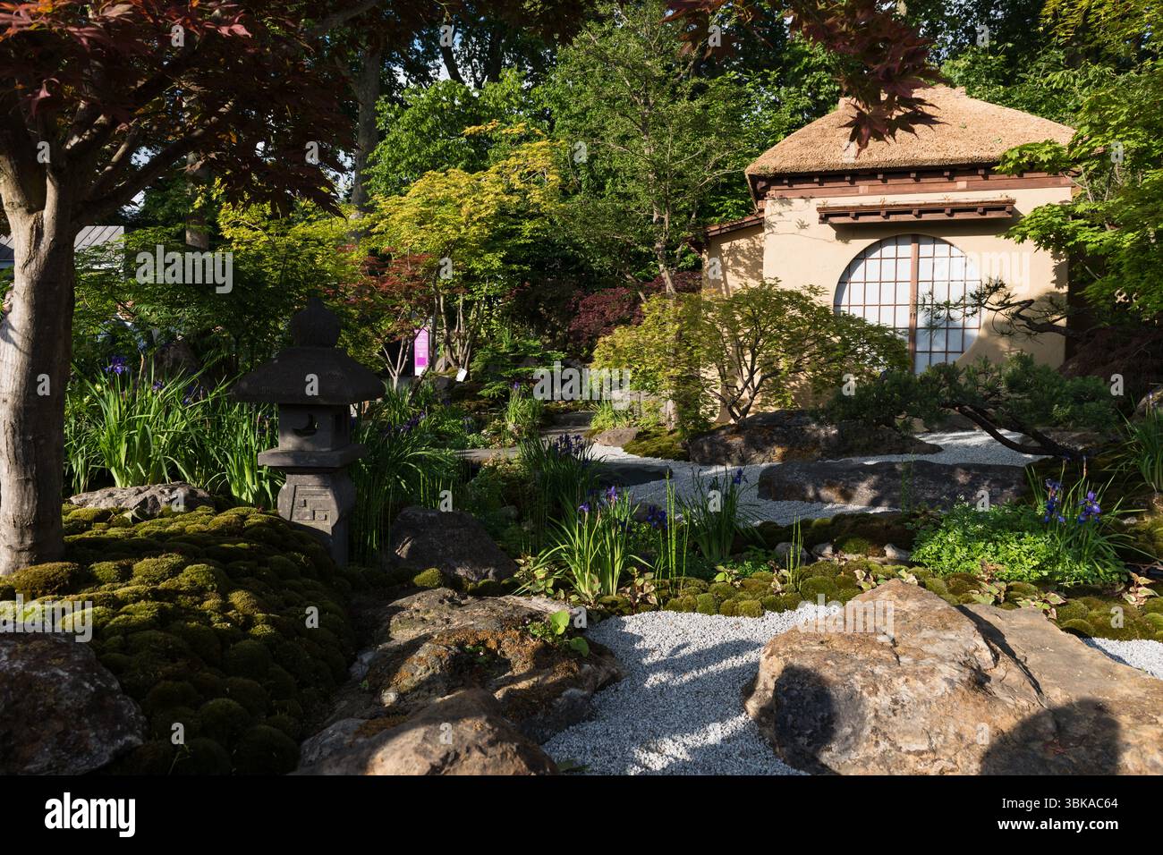 Chelsea Flower Show 2025 Foto Stock