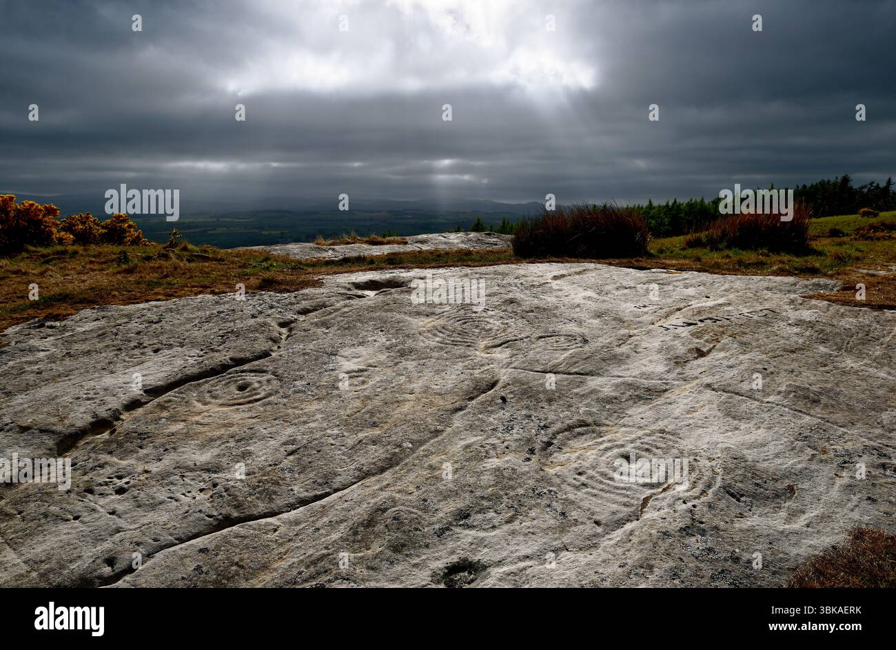 Una delle numerose calotte preistoriche e pannelli di affioramento roccioso a se di Chatton Law Camp su Chattonpark Hill vicino a Belford, Northumberland. Visualizza in W Foto Stock
