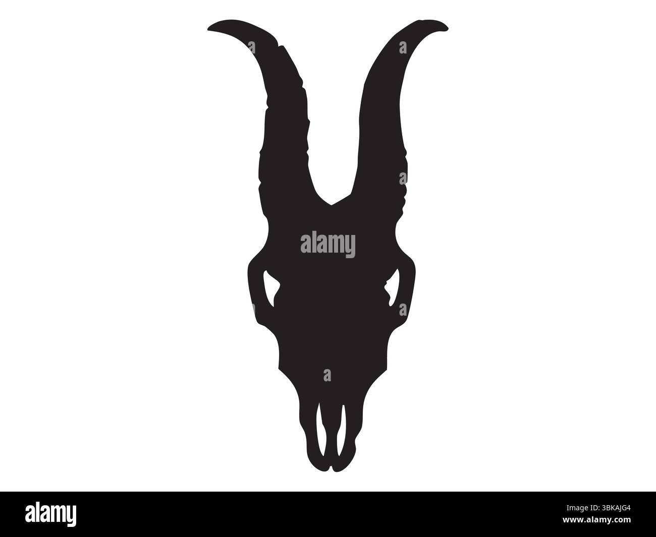 Silhouette nera del cranio antilope con lunghe corna a spirale isolata su sfondo bianco. Concetto di scheletro animale selvatico, gazzella Illustrazione Vettoriale