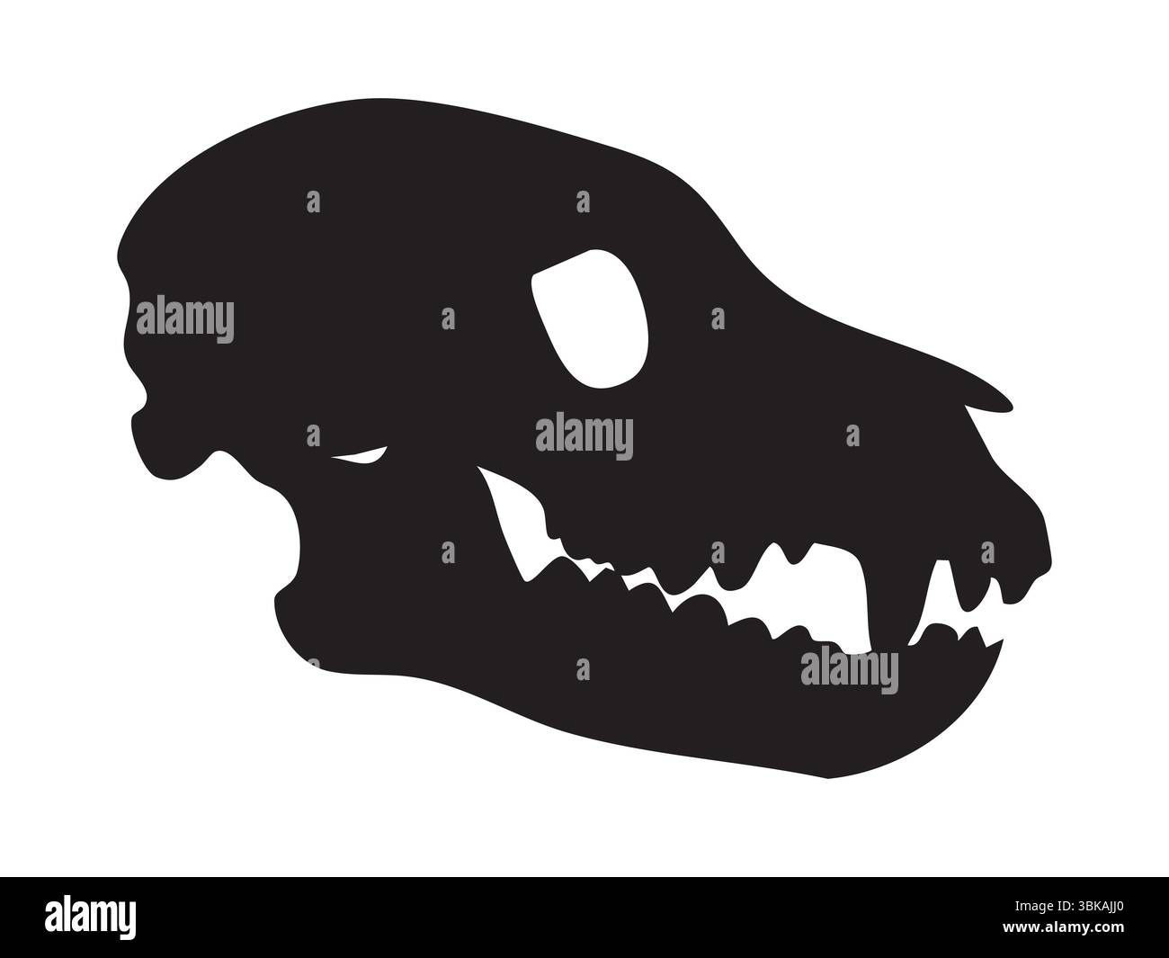 Silhouette nera del cranio di lupo con denti affilati e muso lungo, isolata su sfondo bianco, illustrazione grafica. Concetto di scheletro canino selvatico, p Illustrazione Vettoriale