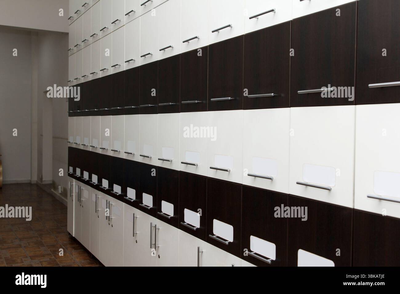 Parete di moderni armadietti con eleganti maniglie in un corridoio pulito, alternando motivi di legno scuro e chiaro, concetto di ordine e organizzazione Foto Stock