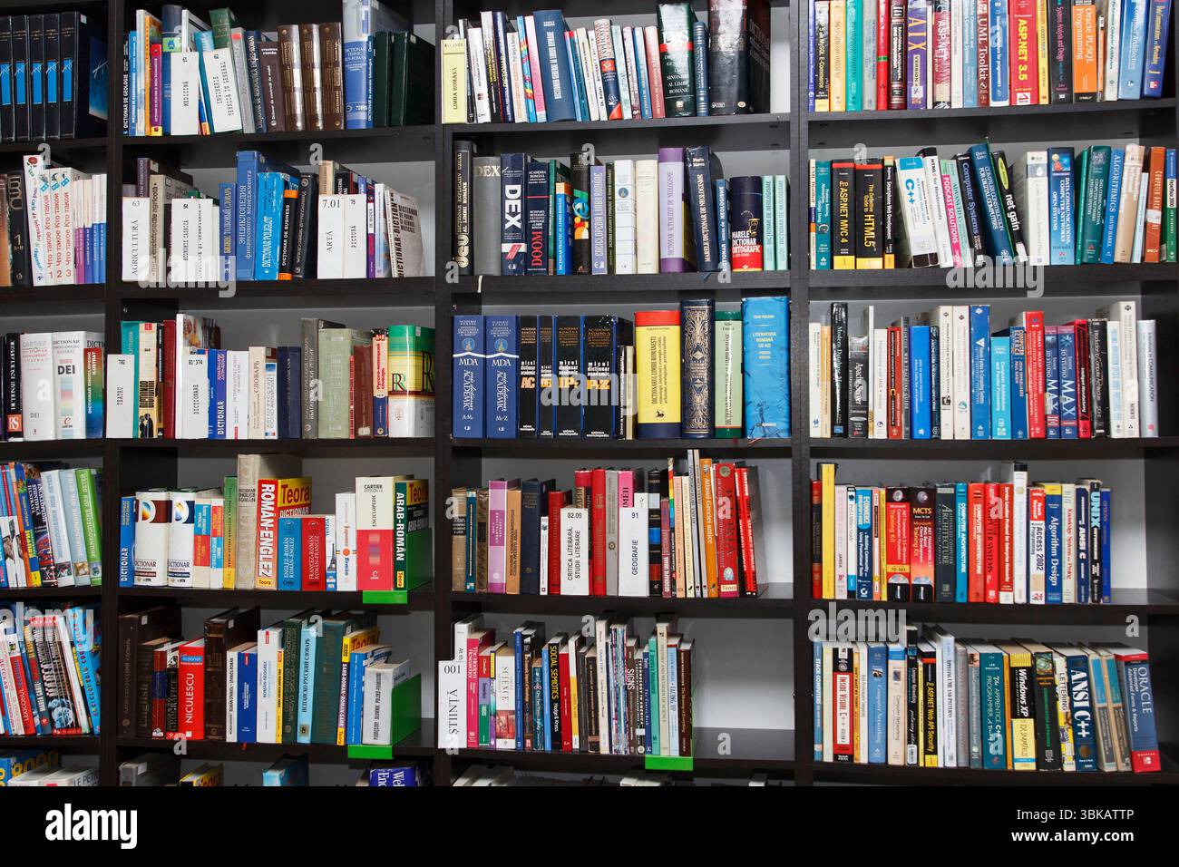 CHISINAU, MOLDAVIA - 14 MARZO 2025; grande libreria con una varietà di libri colorati, realistici stile fotografico, su un semplice sfondo interno. Conc Foto Stock CHISINAU, MOLDAVIA - 14 MARZO 2025; grande libreria con una varietà di libri colorati, realistici stile fotografico, su un semplice sfondo interno. Conc Foto Stock