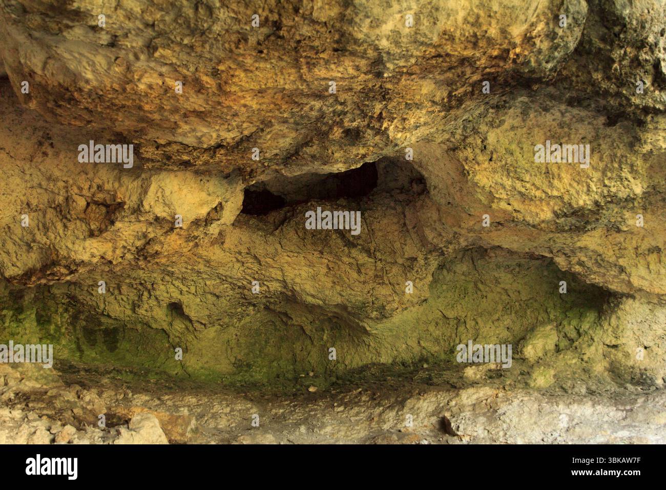 Interno ruvido della grotta con texture rocciose a strati in tonalità marrone e verde, catturate con luce naturale, simboleggiano la geologia e la natura Foto Stock