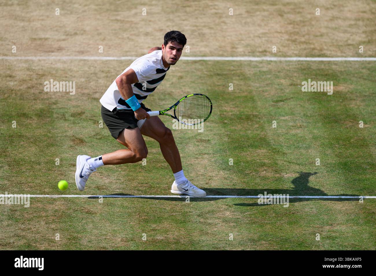 LONDRA, REGNO UNITO, 19 giugno: Carlos Alcaraz (ESP) in azione contro Jaume Munar (ESP) durante l'ATP 500 il giorno 8 dei Campionati HSBC 2025 al Queen's Club giovedì 19 giugno 2025 a LONDRA, REGNO UNITO. Crediti: Taka Wu/Alamy Live News Foto Stock