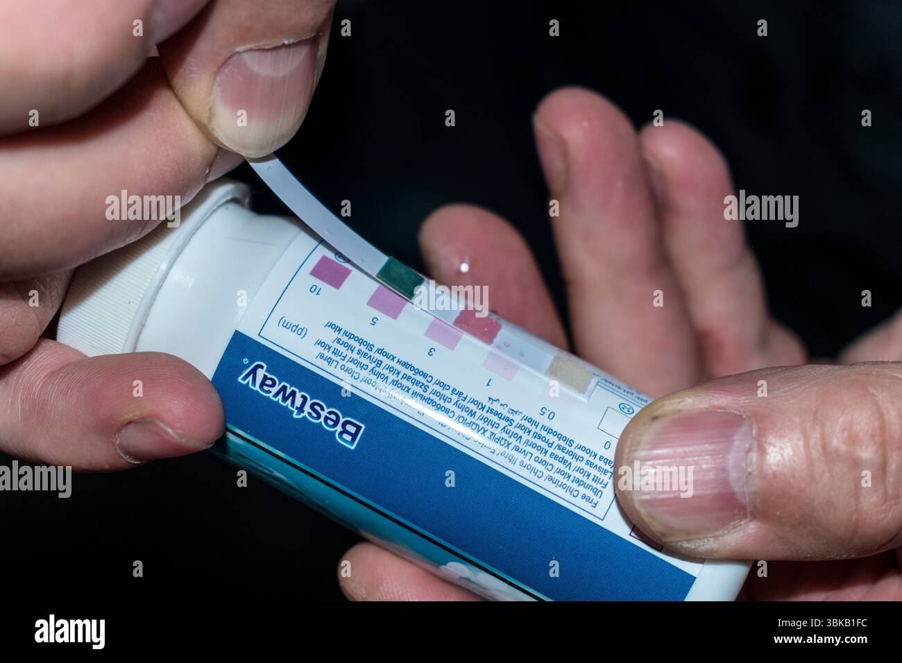 Persona che prova l'acqua della piscina utilizzando la striscia per test del pH Foto Stock