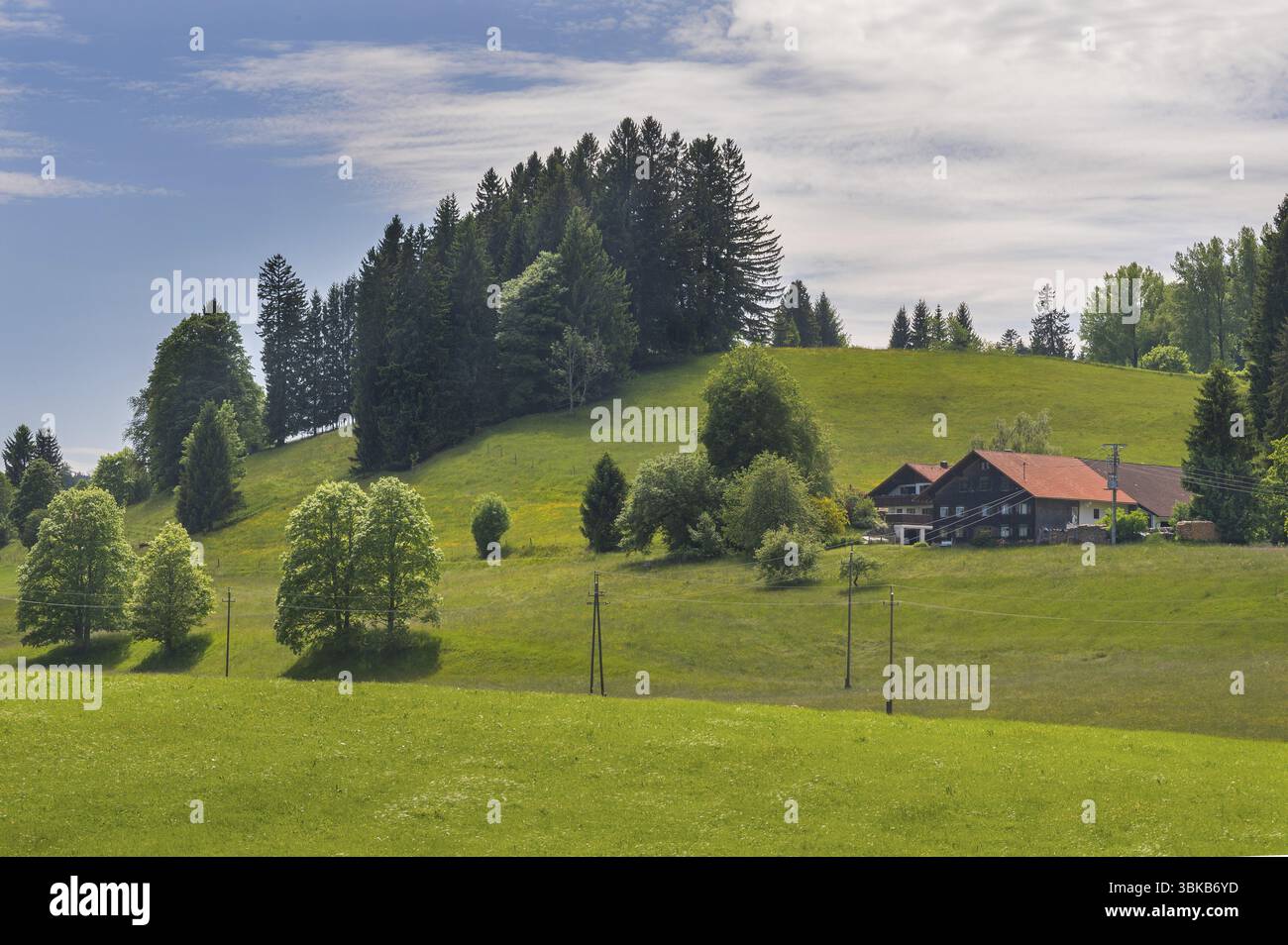 Nuvole bianche, prati primaverili, fattorie e foreste miste, Allgaeu, Svevia, Baviera, Germania, Europa Foto Stock