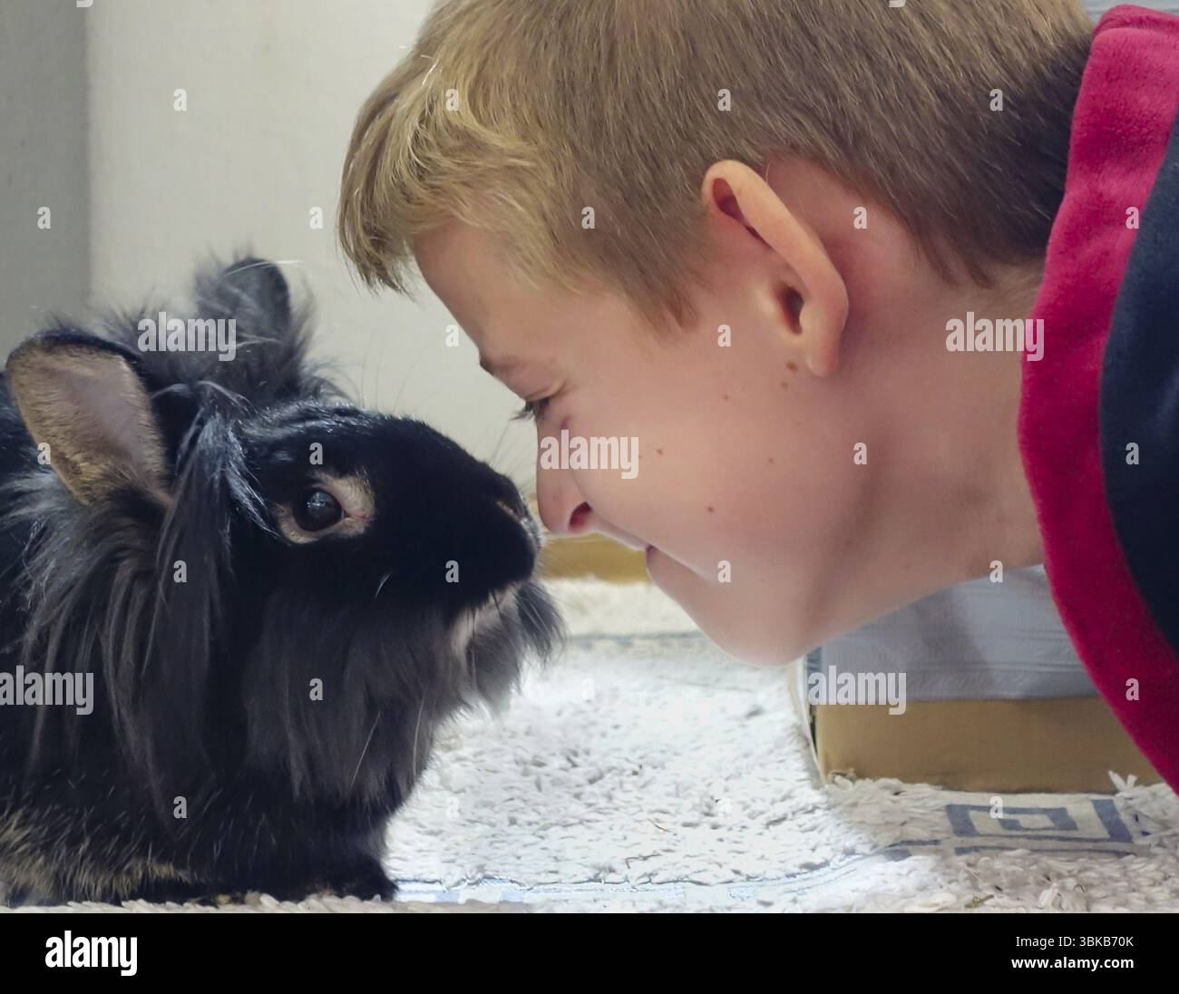 Ragazzo che gioca con il coniglio nero con la testa di leone Foto Stock