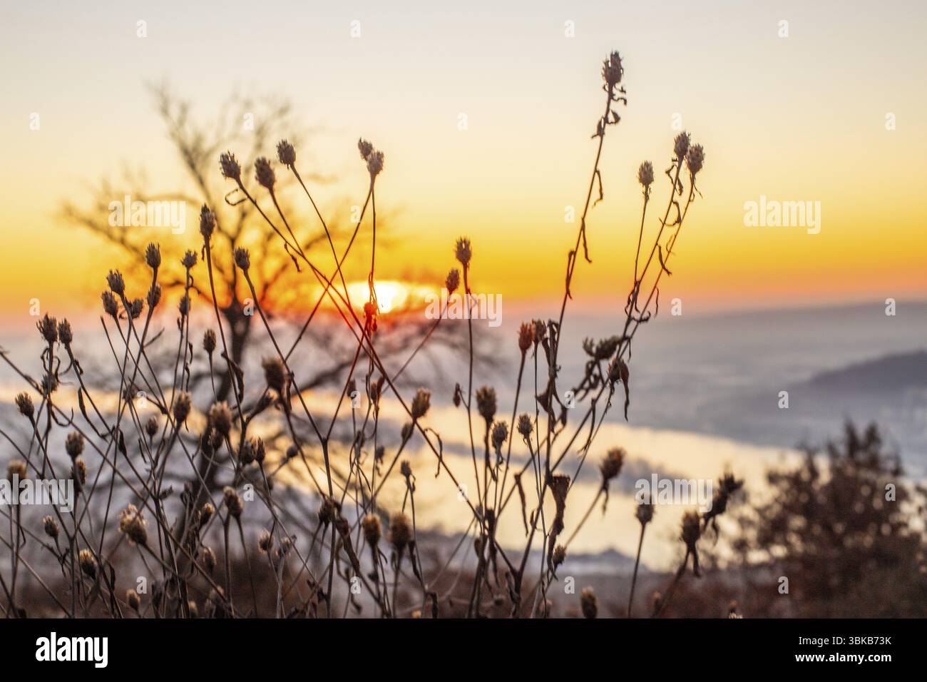 Bellissimo parco all'alba in una mattina d'inverno. Splendida vista sulla valle del Reno all'alba. Foto di paesaggi al Niederwalddenkmal, Ruedeshei Foto Stock