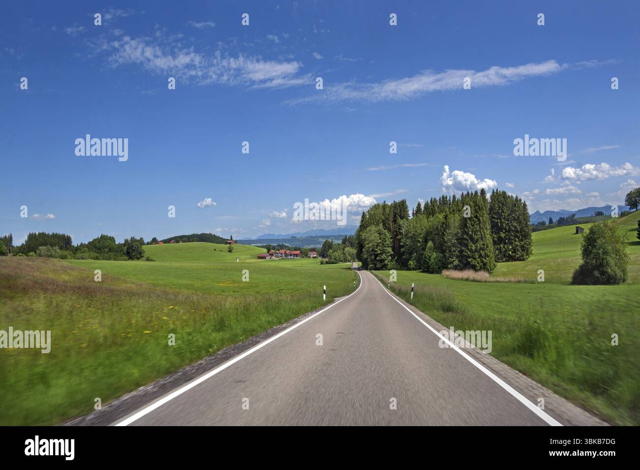 Nuvole bianche, prati primaverili, strada di campagna e foresta mista nei pressi di Unterkuernach-Wiggensbach, Allgaeu, Svevia, Baviera, Germania, Europa Foto Stock