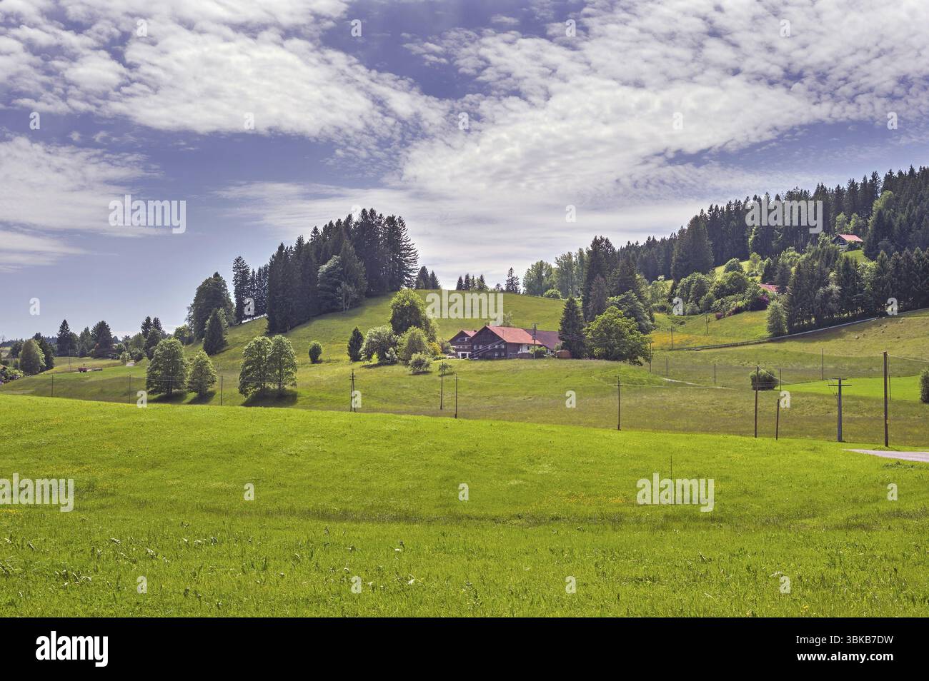Nuvole bianche, prati primaverili, fattorie e foreste miste, Allgaeu, Svevia, Baviera, Germania, Europa Foto Stock
