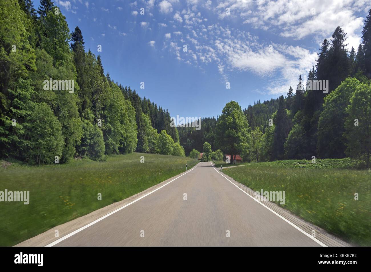 Nuvole bianche, prati primaverili, strada di campagna e foresta mista nei pressi di Unterkuernach-Wiggensbach, Allgaeu, Svevia, Baviera, Germania, Europa Foto Stock
