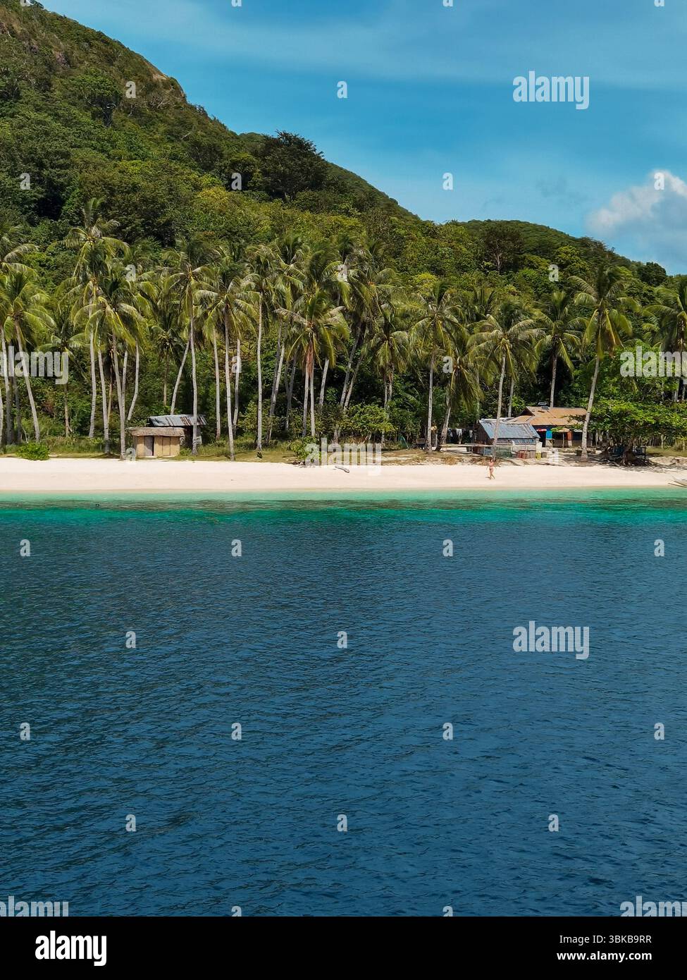 Spiaggia di sabbia rosa, acque turchesi, isola remota - Vista aerea di un'isola vergine a Linapacan, Palawan, con morbida sabbia rosa, acqua cristallina, a. Foto Stock