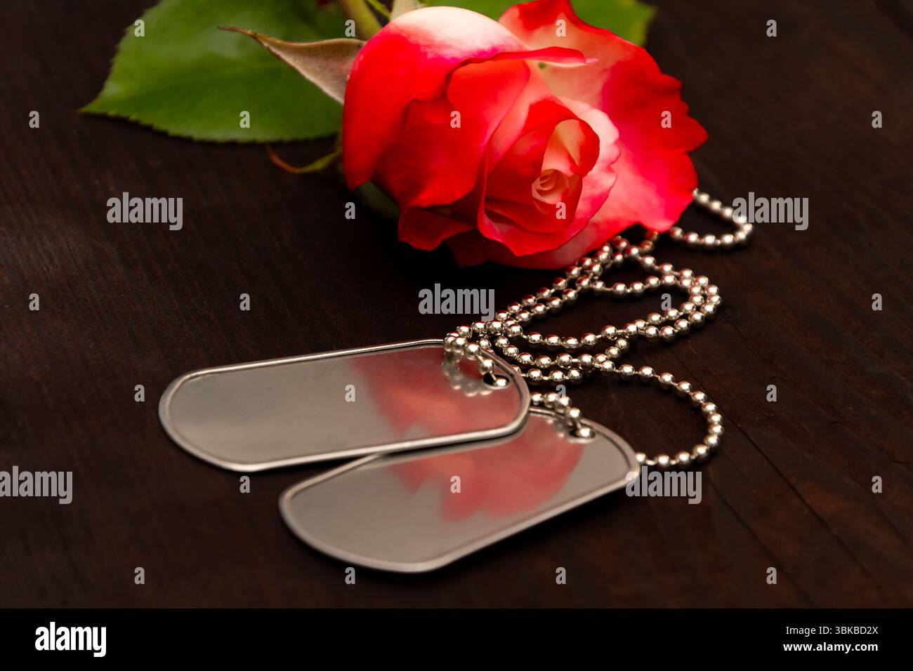 rosa con etichette di identificazione in metallo su legno scuro. Idee di patriottismo, coraggio, dovere e memoria eterna, conflitti militari, veterani e storia Foto Stock