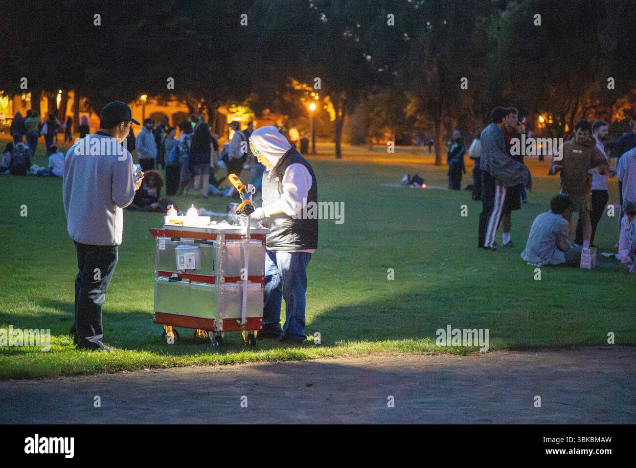18 GIUGNO 2025 - PORTLAND, OR: Un evento di danza della comunità gratuita, il Mount Tabor Dance Party, si tiene al Peninsula Park con grandi gruppi di persone che si godono la serata. Foto Stock