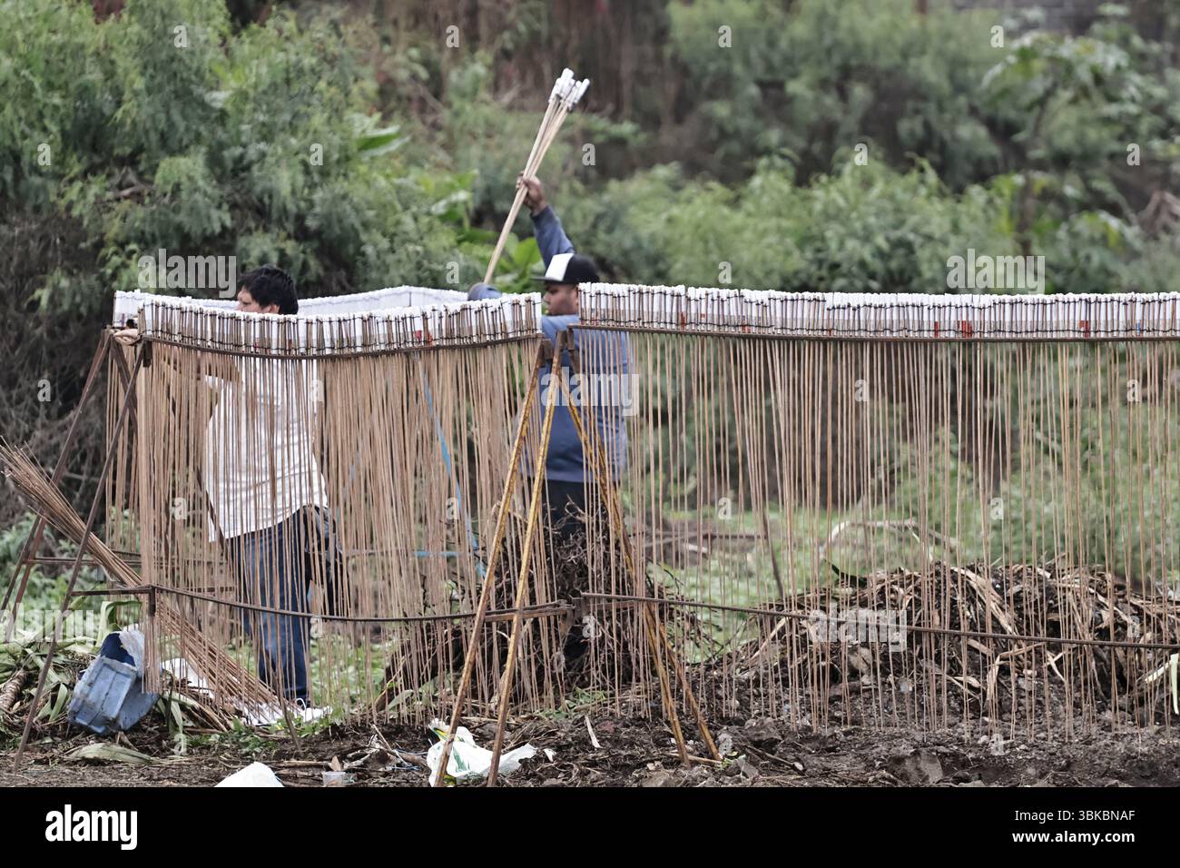 19 giugno 2025, Messico, CDM, Messico: La città di CulhuacÃ¡appartiene a Iztapalapa, dove celebrano il giorno dei muli, o Corpus Domini. Durante il giorno, portano bambini vestiti da indigeni, preparano i chilaquile da regalare a residenti e visitatori, e fanno scattare fuochi d'artificio come parte di questa celebrazione cattolica, iniziata da Papa Urbano IV nel 1246. Oltre a celebrare il Corpus Domini con attività religiose per l'Eucaristia, i muli sono importanti in questa data perché i residenti di questa comunità viaggiavano su questi animali da branco e si recavano alla Basilica di Guadalup Foto Stock