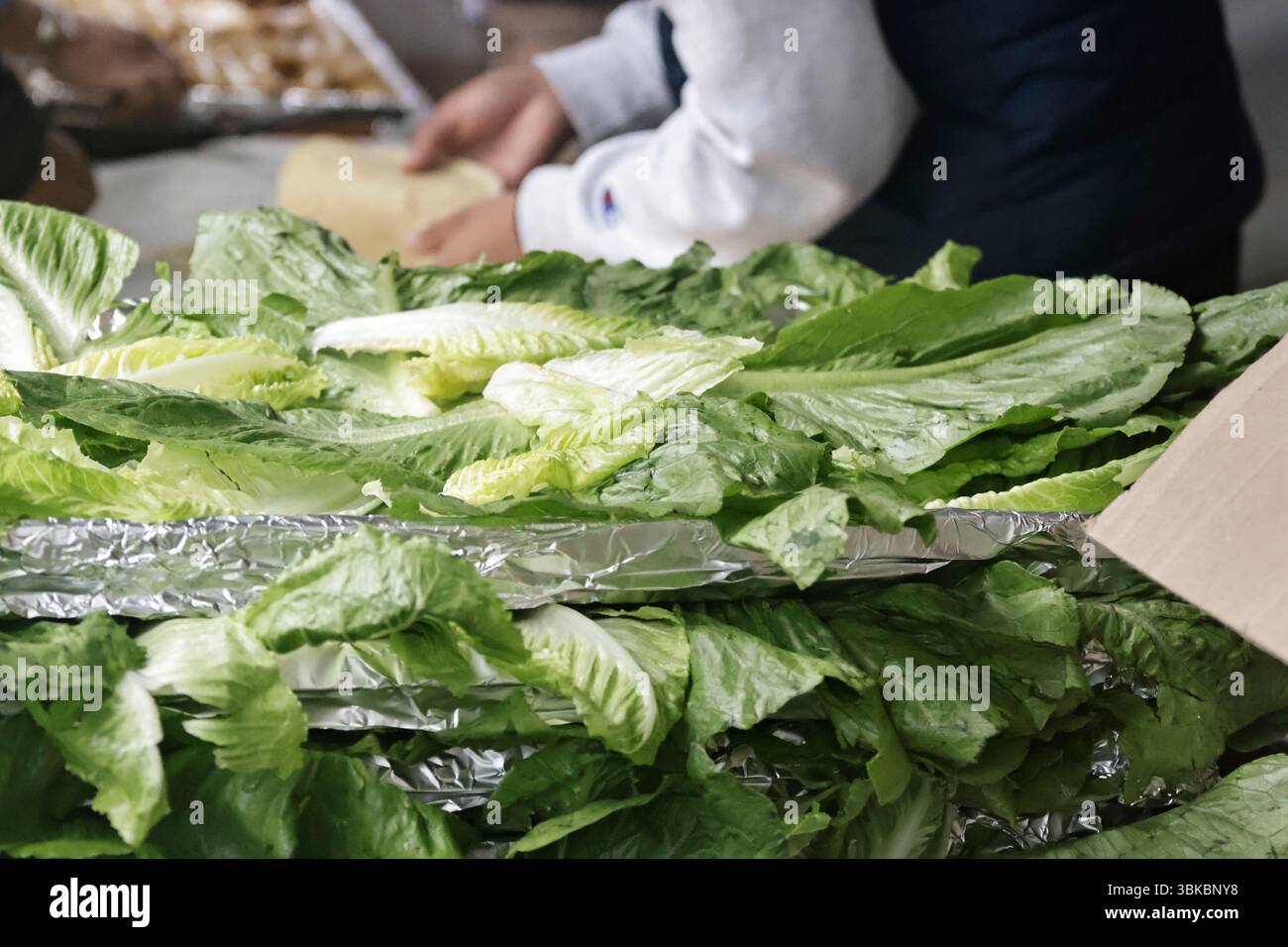 19 giugno 2025, Messico, CDM, Messico: La città di CulhuacÃÂn appartiene a Iztapalapa, dove celebrano il giorno dei muli, o Corpus Domini. Durante il giorno, portano bambini vestiti da indigeni, preparano i chilaquile da regalare a residenti e visitatori, e fanno scattare fuochi d'artificio come parte di questa celebrazione cattolica, iniziata da Papa Urbano IV nel 1246. Oltre a celebrare il Corpus Domini con attività religiose per l'Eucaristia, i muli sono importanti in questa data perché i residenti di questa comunità viaggiavano su questi animali da branco e si recavano alla Basilica di Guadalu Foto Stock