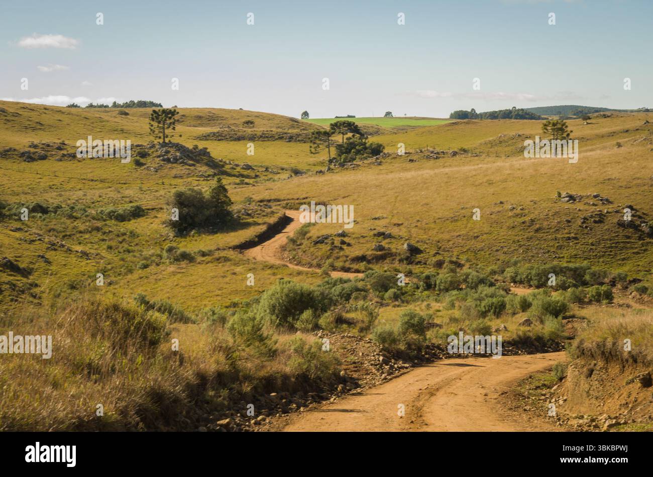 Strada sterrata, per fuoristrada, strada nella campagna sopra le montagne, Brasile, con molte rocce e strade tortuose. Foto Stock