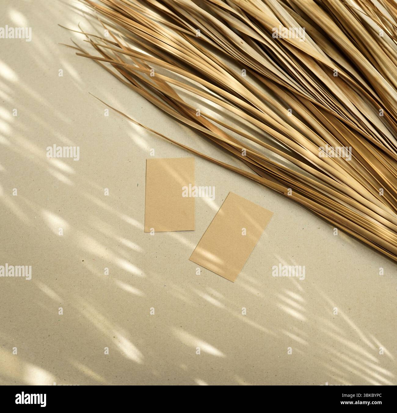 Cartoline fotografiche realistiche design mockup diagonale naturale sovrapposizione di ombre luminose organiche della finestra beige con foglie di palma Foto Stock