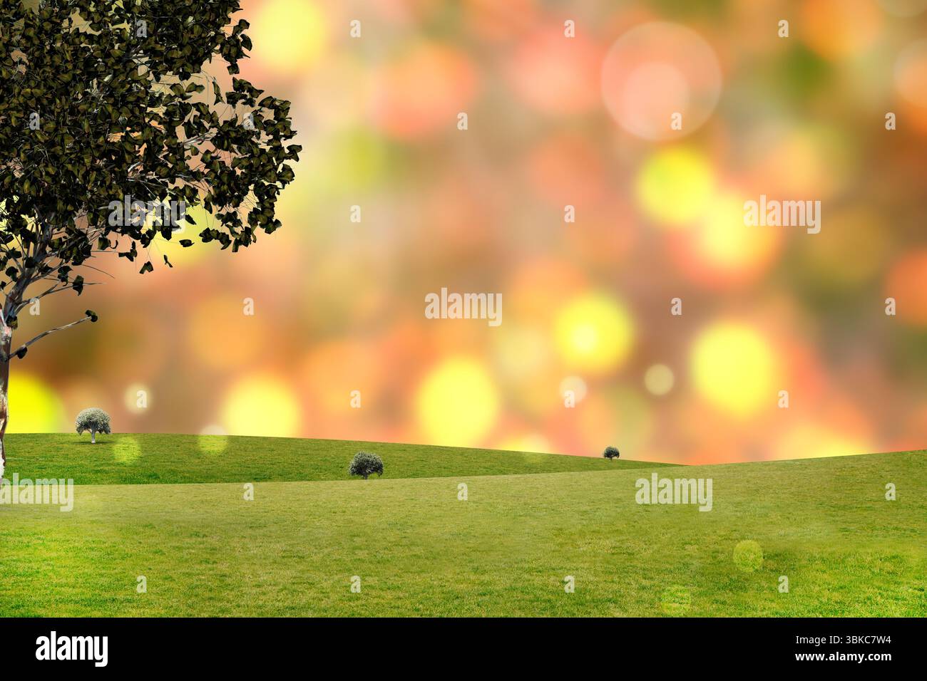 Luci accese dietro il campo Foto Stock