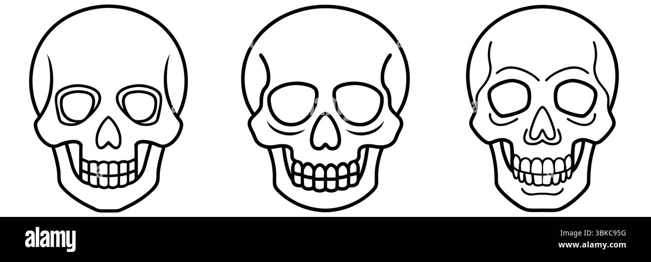 Illustrazioni dettagliate del cranio umano, fascio di teschi Illustrazione Vettoriale