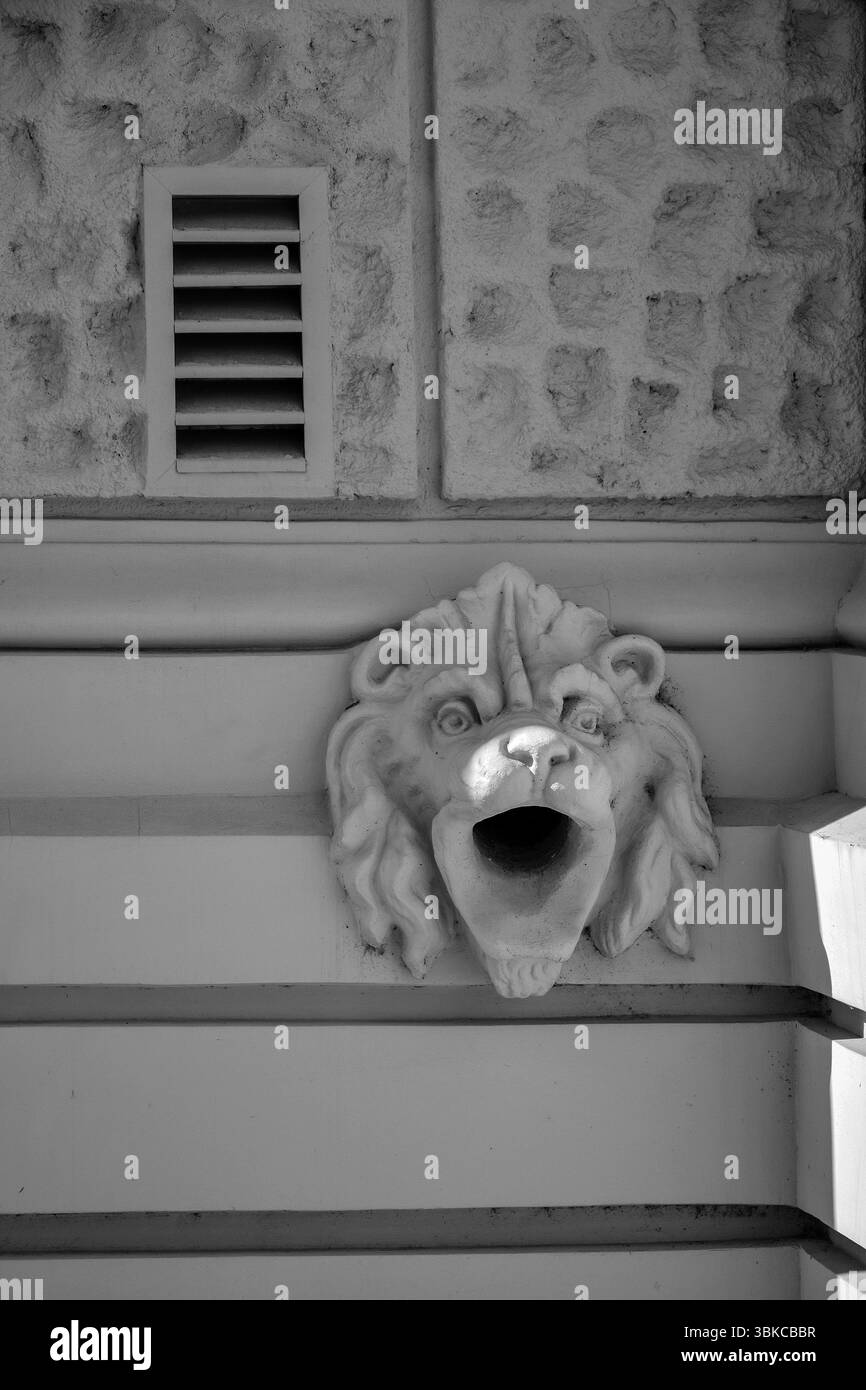 Bassorilievo, scultura in pietra di testa di leone ruggente con bocca aperta sul muro di un vecchio edificio grigio storico. Patrimonio architettonico culturale. Copia spazio Foto Stock