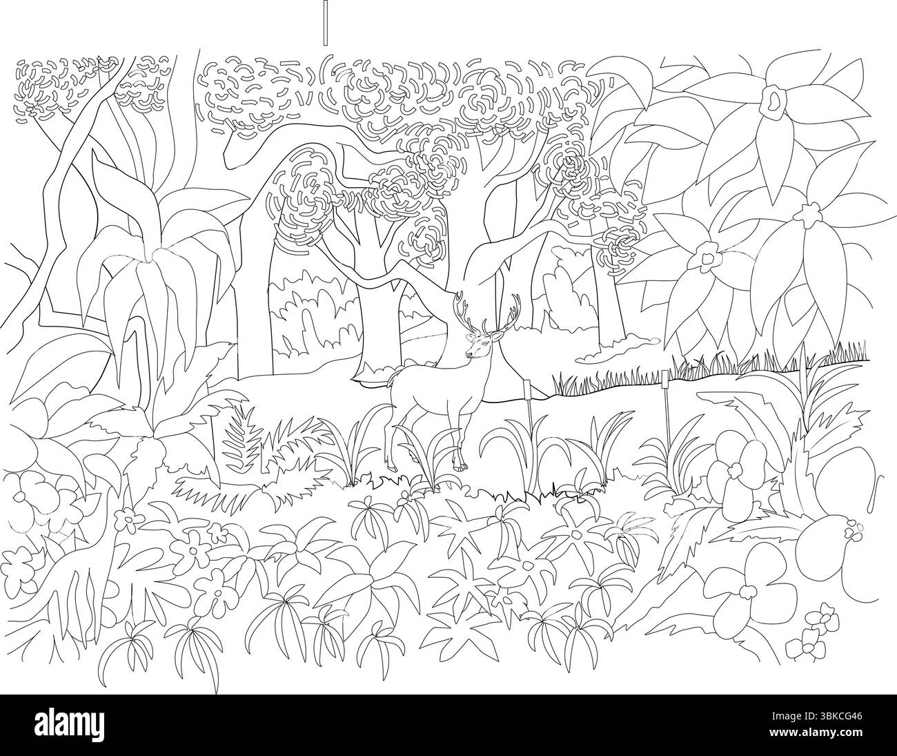 Disegno in bianco e nero di un cervo in piedi tra piante e alberi tropicali lussureggianti in un ambiente fitto della giungla, perfetto per colorare libri o. Illustrazione Vettoriale