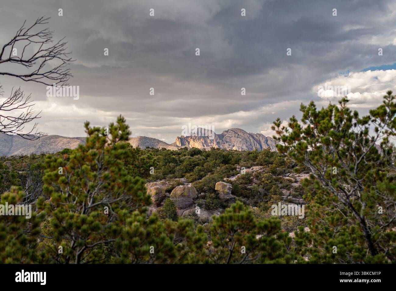 Montagne lontane all'ultima luce del monumento nazionale di Chiricahua Foto Stock