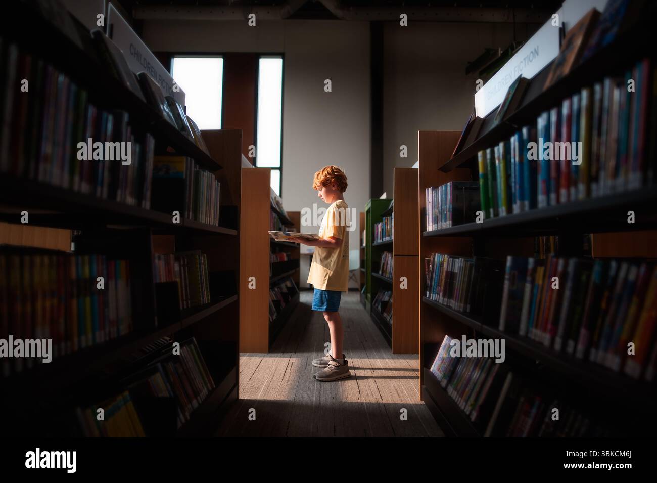 Un ragazzino con la testa rossa che legge tranquillamente nella soleggiata libreria della sala Foto Stock