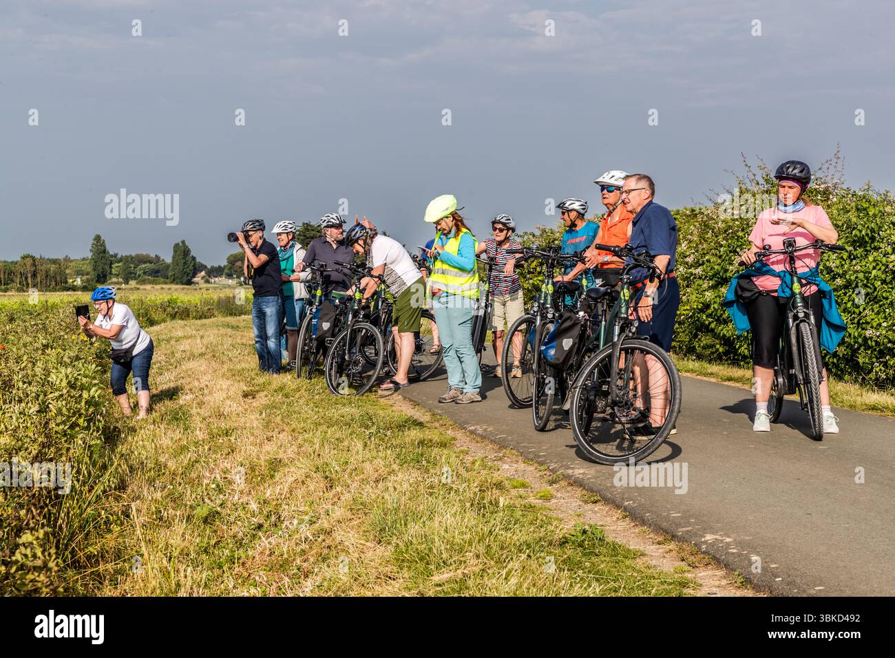 I partecipanti del tour guidato in bicicletta di Die Landpartie fanno una sosta fotografica collettiva su un percorso ciclabile sulla Route de la Pointe des Barres vicino a La Flotte sull'isola di Ré (Île de Ré), Charente-Maritime, Nuova Aquitania, Francia. La guida Katell Nicoux, con un giubbotto ad alta visibilità e un casco verde chiaro, è al centro e guarda il suo telefono cellulare. Un uomo a sinistra scatta foto con una fotocamera, e una donna al margine del sentiero fotografa con il suo telefono cellulare. I ciclisti sono in piedi con le loro e-bike sul sentiero, che è delimitato da una siepe a destra. Il tour segue il percorso a lunga Foto Stock