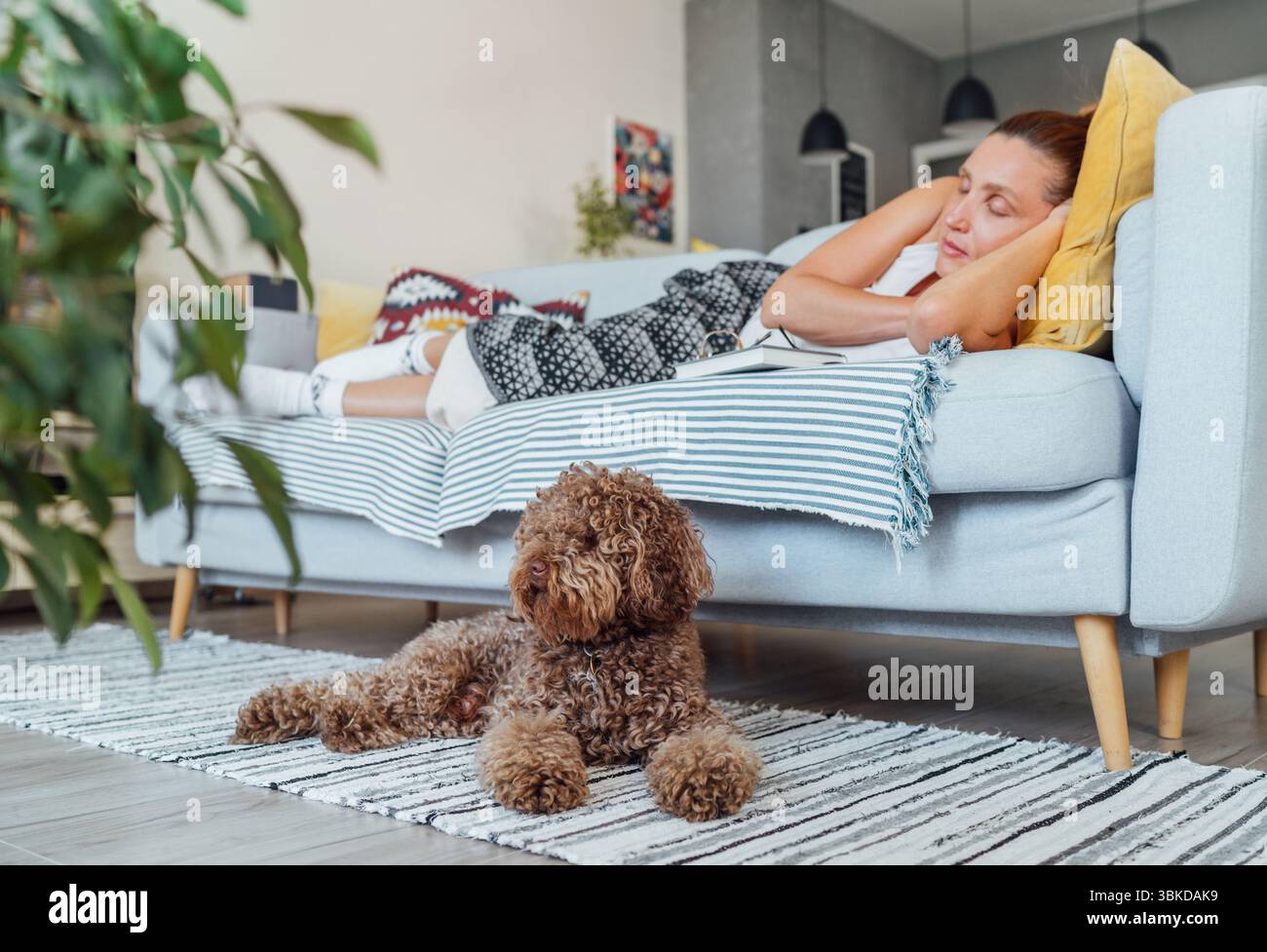 Il cane Maltipoo è sdraiato su un tappeto mentre una donna di mezza età dorme rilassandosi sul comodo divano del soggiorno e godendosi momenti tranquilli insieme in riva al mare Foto Stock