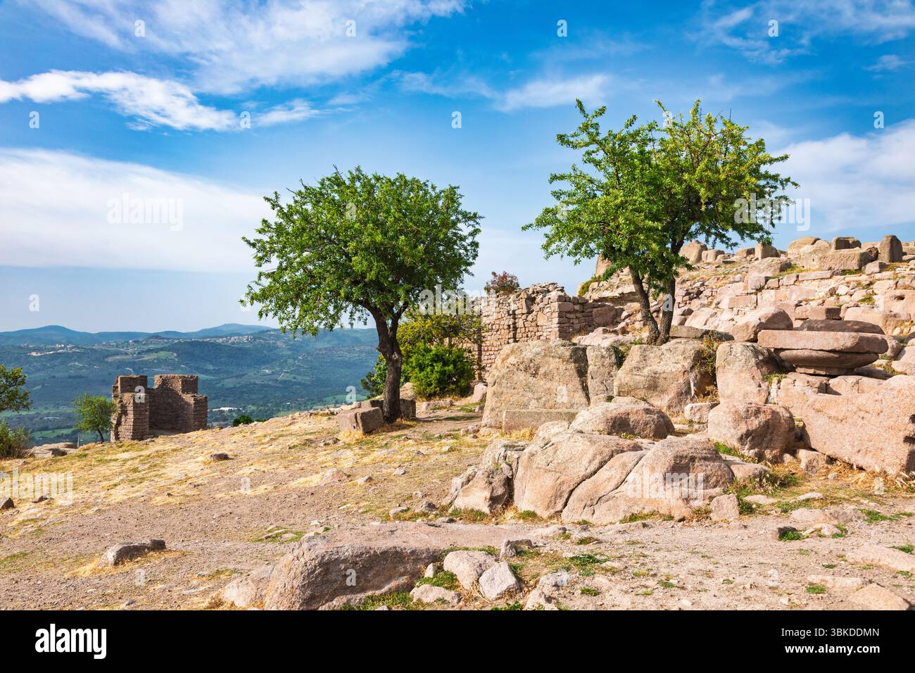 Pietre antiche sparse e resti di mura riposano sotto gli alberi sulla collina di Assos, Turchia, vicino al Tempio di Atena, con vista sull'AEG Foto Stock