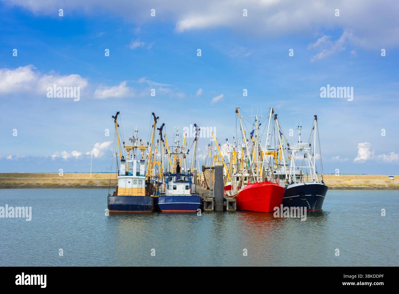 Pescherecci per la pesca dei gamberetti a Lauwersoog, a nord-est dei Paesi Bassi Foto Stock