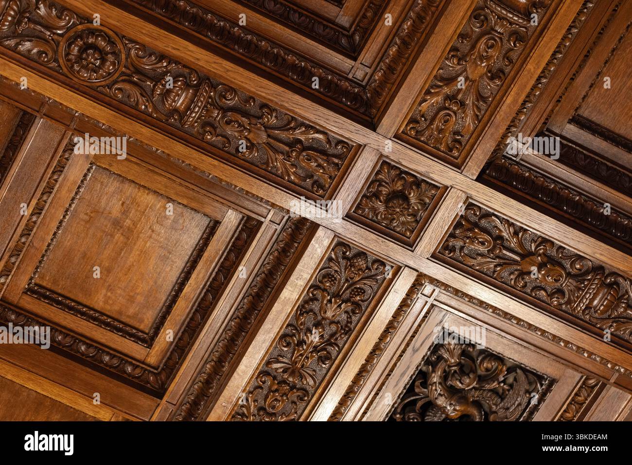 Pannello del soffitto in legno intagliato con dettagli intricati che mostra sofisticata maestria artigianale e intricati motivi ornamentali. Design d'epoca degli interni Foto Stock