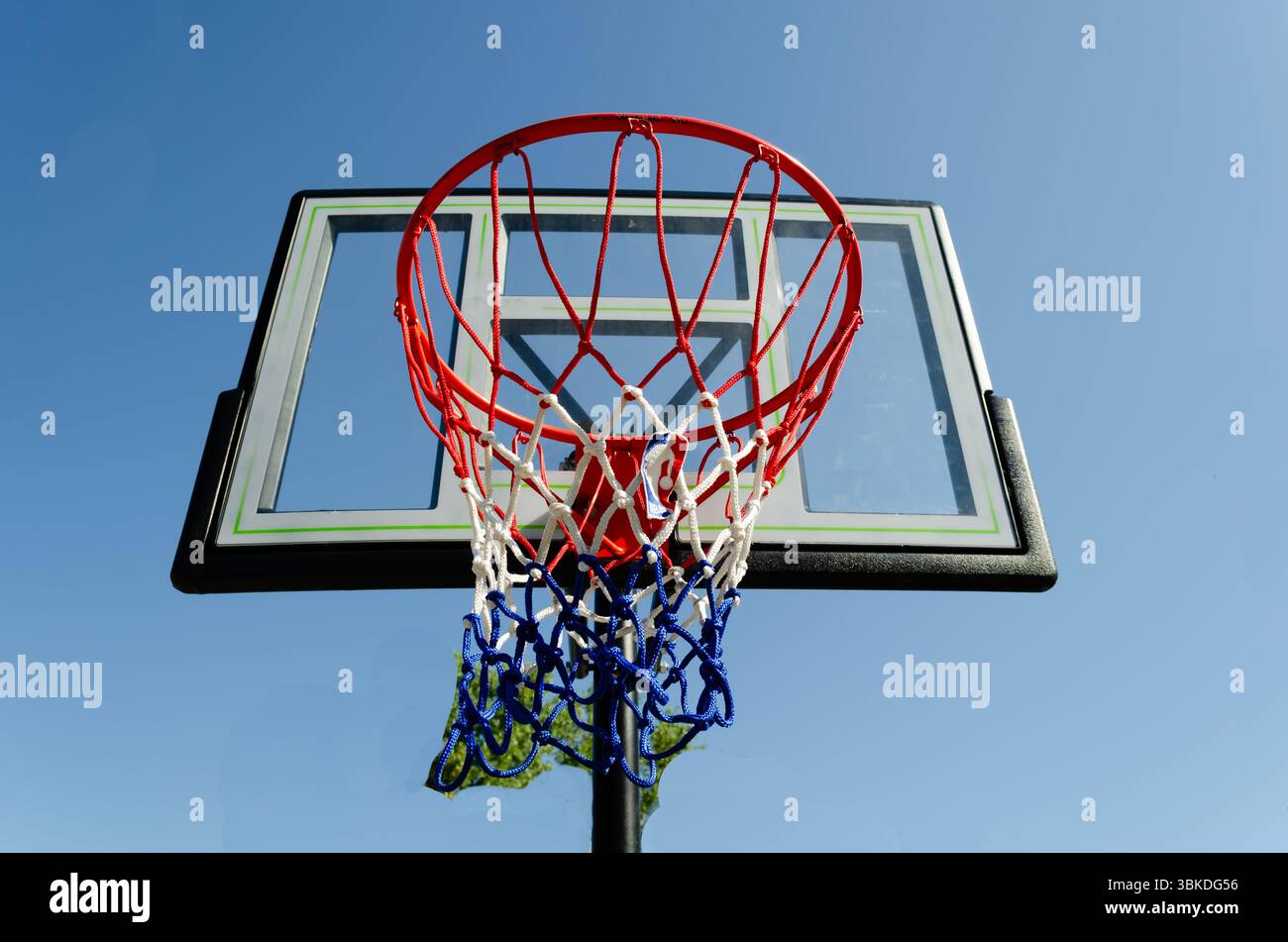 Vista verso l'alto di una rete da basket e di un tabellone contro la cima degli alberi e il cielo blu, Foto Stock