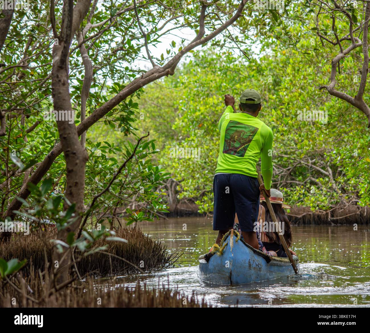 Un uomo pagaia su una canoa attraverso lussureggianti foreste di mangrovie a Rincon del Mar, Sucre, Colombia, incarnando la bellezza della natura e del turismo locale. Foto Stock